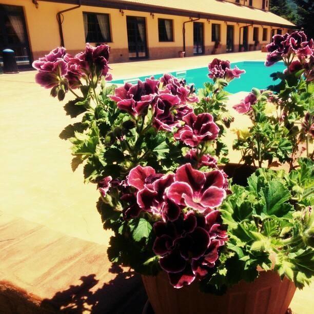 Del Riccio Hotel Martirano ภายนอก รูปภาพ